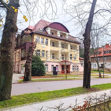 Storczyk Zdroj Polanica-Zdroj